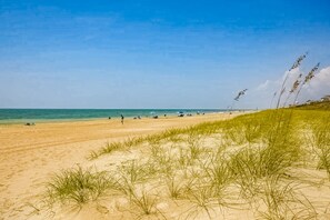 Playa