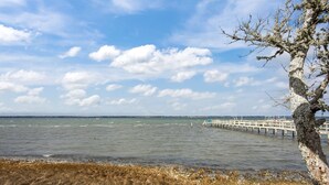 Eine Küstenansicht mit einem Steg, der sich ins Wasser erstreckt, einem Baum rechts und einer grünen Fläche im Vordergrund.