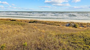 Ein Strand mit sandigem Ufer und grasbewachsenen Dünen.