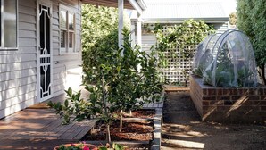 A garden area with a wooden deck, a small tree, and a greenhouse structure. - Pear Tree Cottage - Apollo Bay (Apollo Bay)