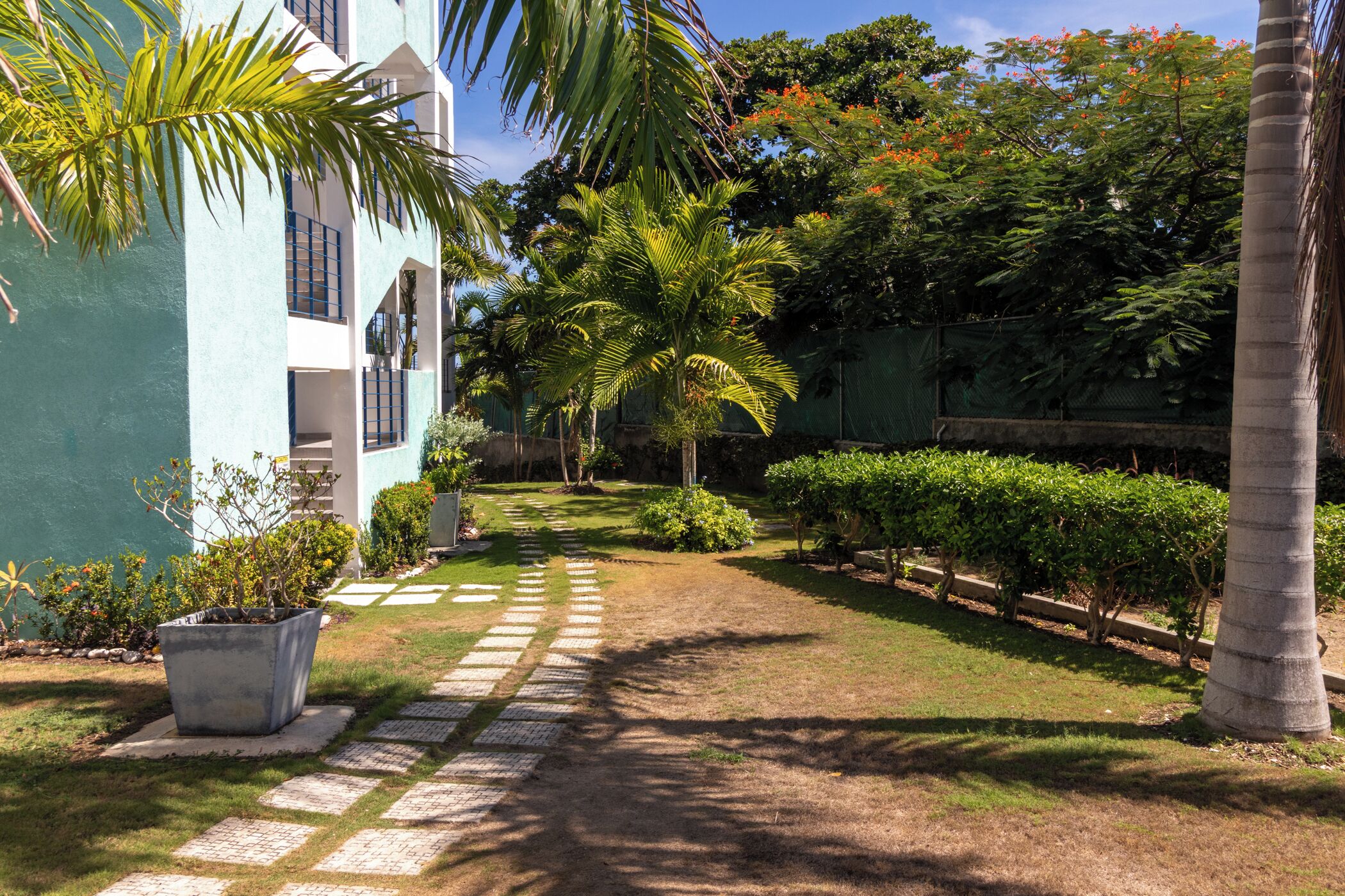 A pathway leading to a building with a blue exterior, surrounded by greenery and palm trees.