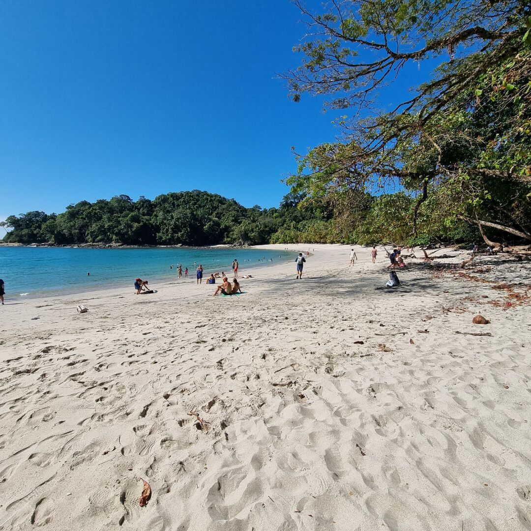 Plage à proximité, chaises longues, serviettes de plage
