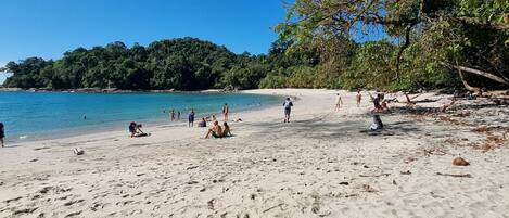 Plage à proximité, chaises longues, serviettes de plage