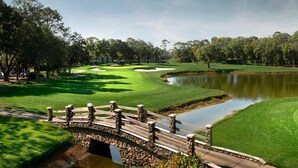 A golf course with a stone bridge over a pond, surrounded by lush greenery and trees. - Pristine 1-bedroom condo w/1.5 Bath in World Renowned Innisbrook Golf Community (Palm Harbor)