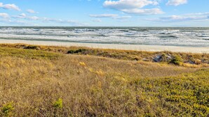 Ein Strand mit sandigem Ufer und grasbewachsenen Dünen.