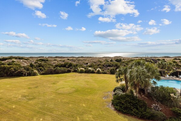 A grassy field with a pool and palm trees, overlooking a beach and ocean. - Beachfront condo with amazing ocean views, pool, tennis courts, & gym (Atlantic Beach)