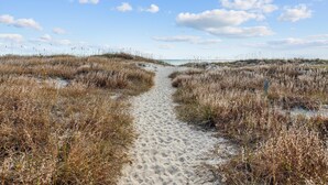 A sandy path leading through a natural landscape with dry grass on either side. - Beachfront condo with amazing ocean views, pool, tennis courts, & gym (Atlantic Beach)
