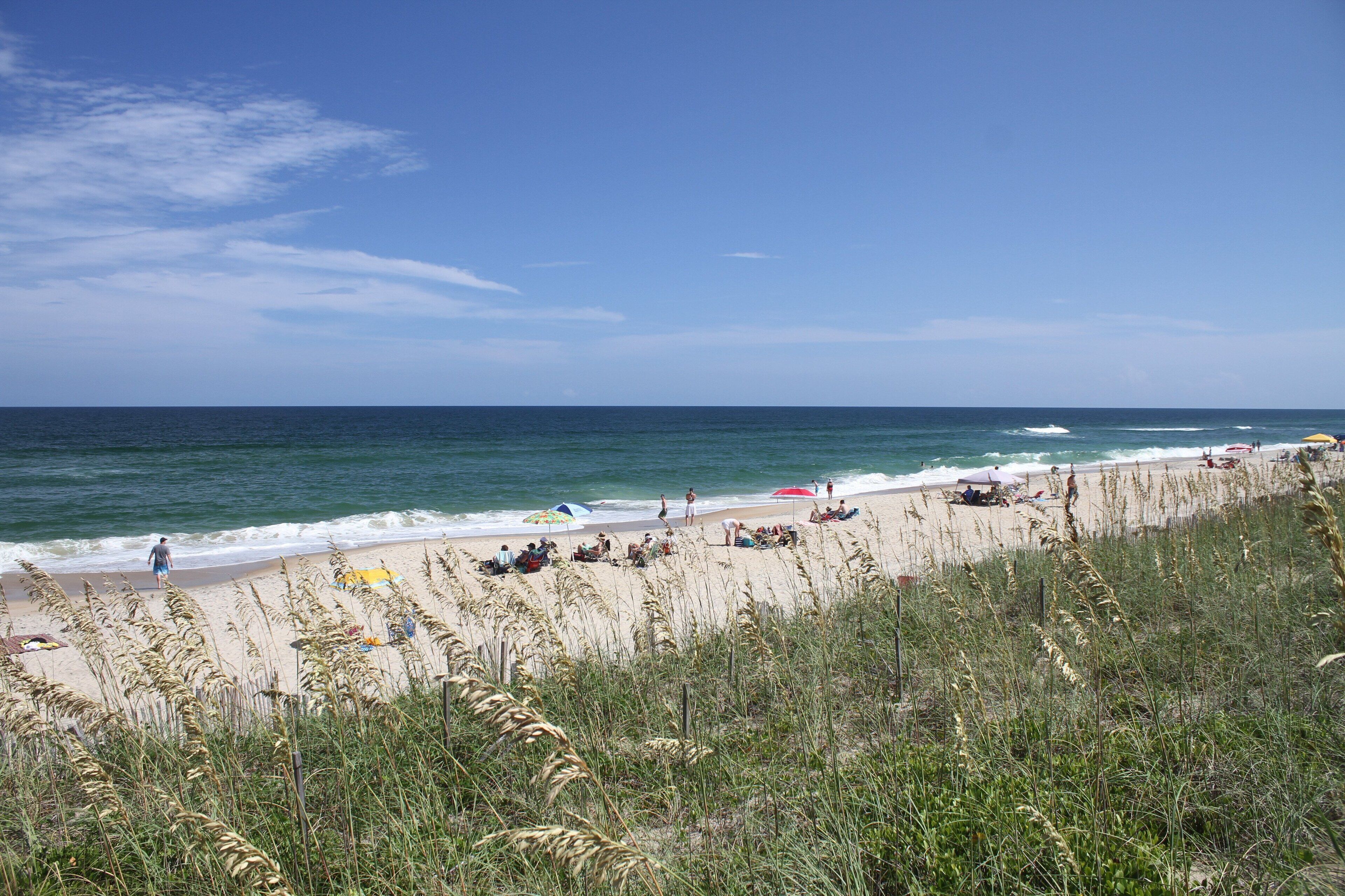 A beach with people, umbrellas, and seaweed in the foreground.