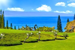 View from room - New! Free CAR Kapalua Ridge Villa Krv-2314 (Kapalua)