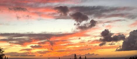 Condo (2 Bedrooms) | Front of property