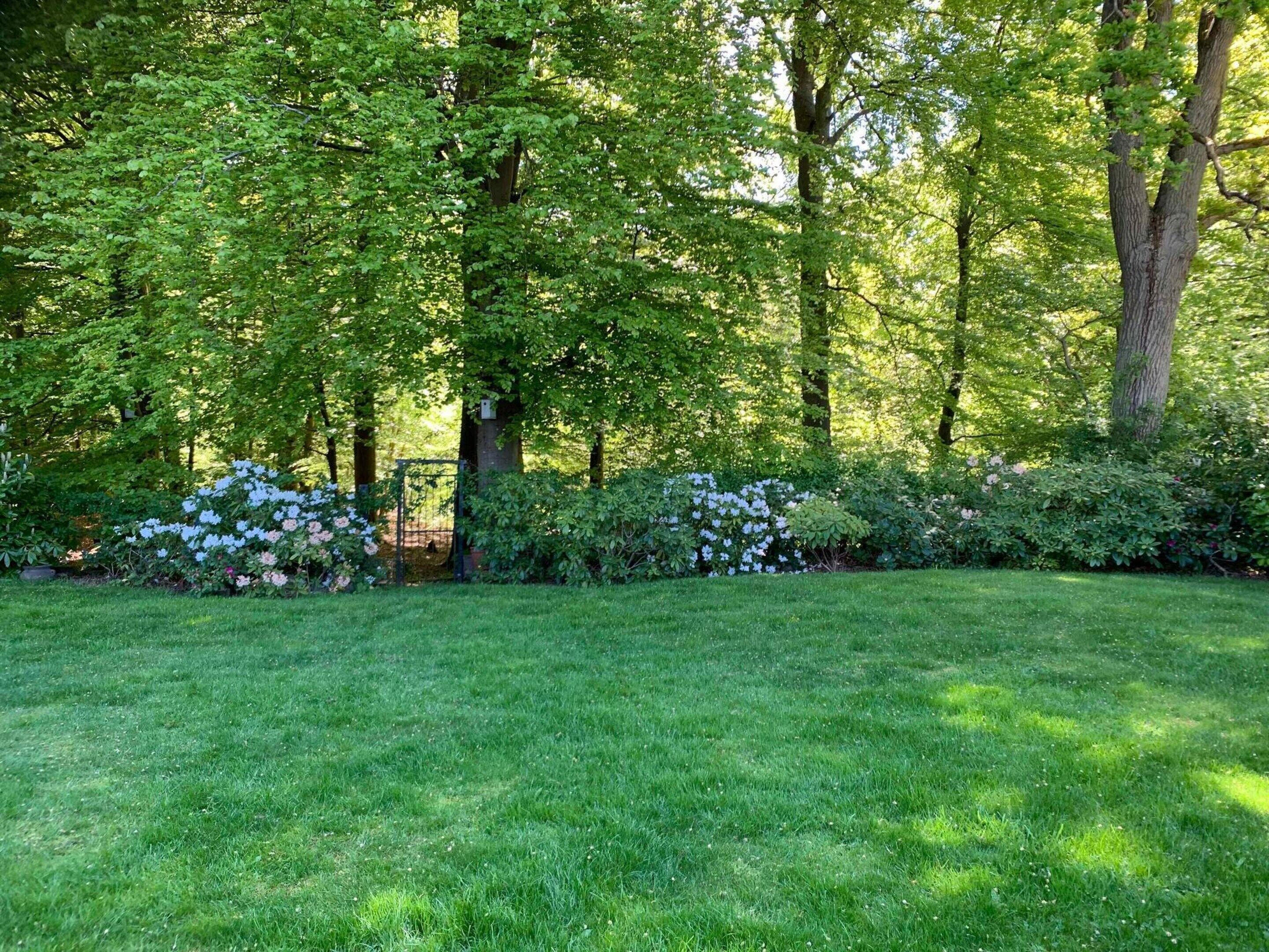 Nhà | Ngoại thất