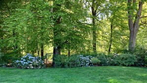 Une pelouse verdoyante et luxuriante, agrémentée de divers arbustes et arbres en fleurs.