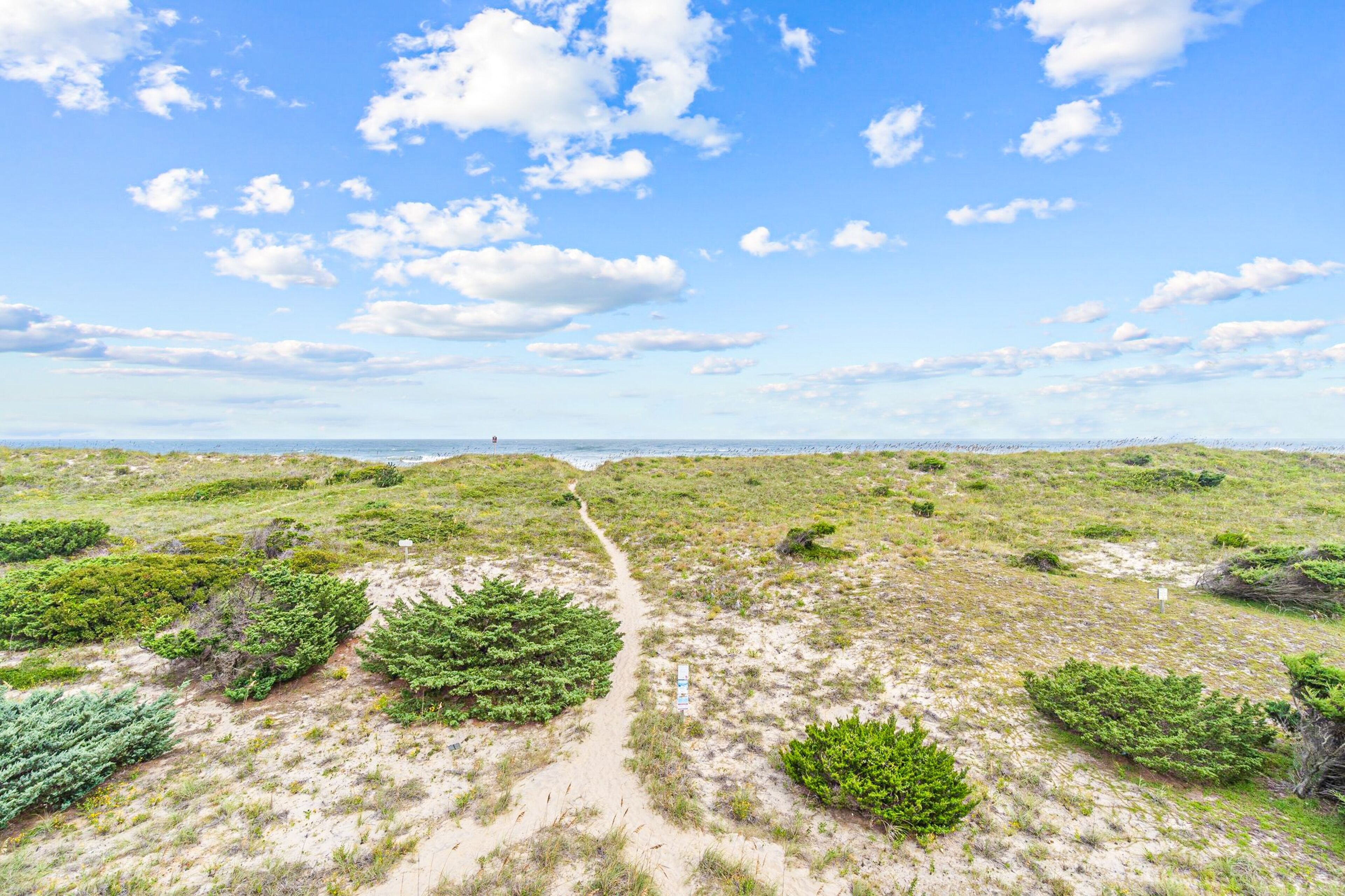 A coastal landscape with a dirt path leading through green shrubbery and dunes.