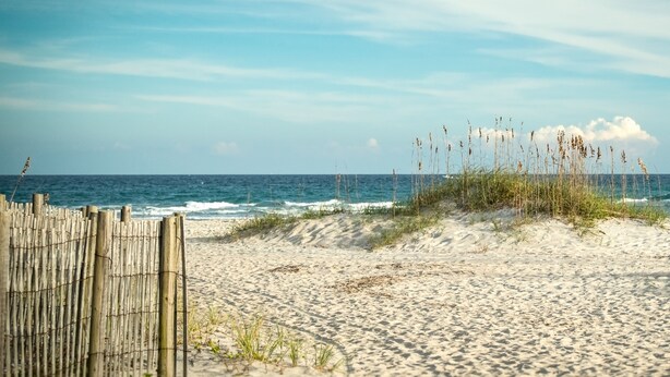 A sandy beach with a wooden fence and grassy dunes.