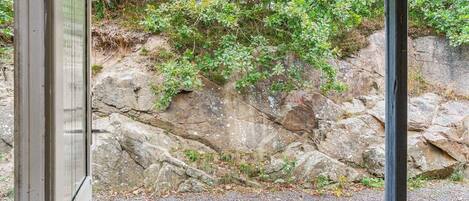 独立别墅 | 外观