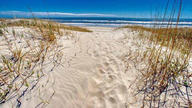 A sandy beach path with dunes and grasses.