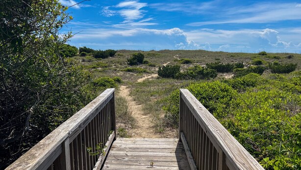 Un pasarela de madera que conduce a un paisaje natural con vegetación escasa y un cielo despejado.