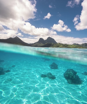 Miscellaneous - Fare Tipanier by Tiare Lodge (Moorea-Maiao)