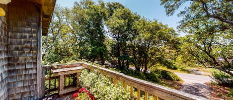 Une terrasse en bois dotée d’une rambarde, entourée d’une végétation luxuriante et d’arbres.