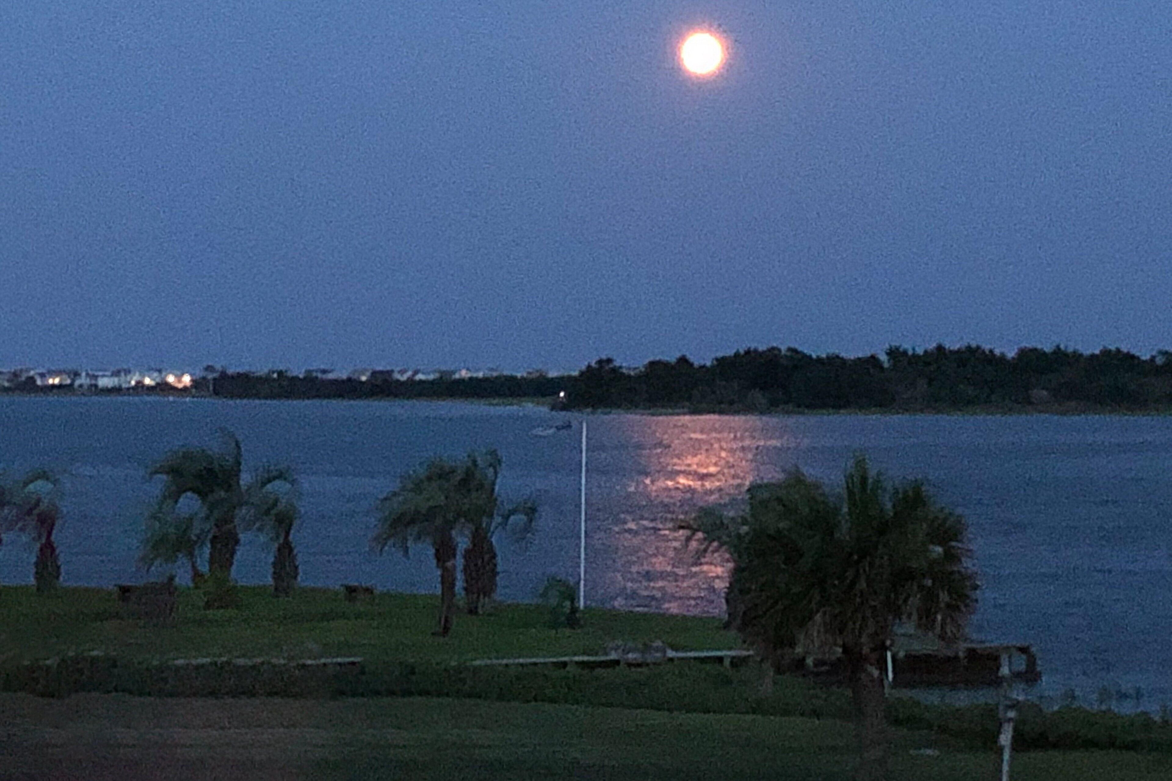 A nighttime view of a body of water with a full moon, palm trees, and a distant shoreline with buildings.