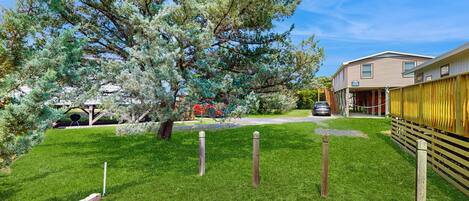 A well-maintained grassy yard with a large tree, a wooden fence, and a two-story building with a car parked in front.