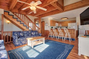 TV, DVD player, stereo - Beautiful dog-friendly home overlooking the beach with hot tub, WiFi, & AC (Salvo)