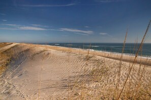 On the beach - Beautiful dog-friendly home overlooking the beach with hot tub, WiFi, & AC (Salvo)