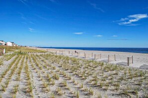A beach with a fence and grass in the foreground, a clear sky, and a distant shoreline.
