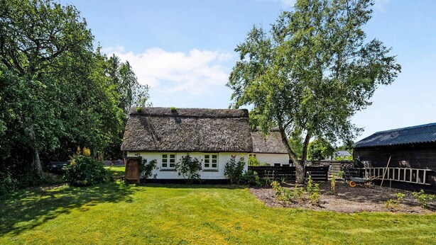 A traditional thatched-roof house with a white exterior, surrounded by a well-maintained lawn and trees. - 5 Star Holiday Home in Orsted (Ørsted)