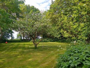 Maison | Terrain de l’hébergement 