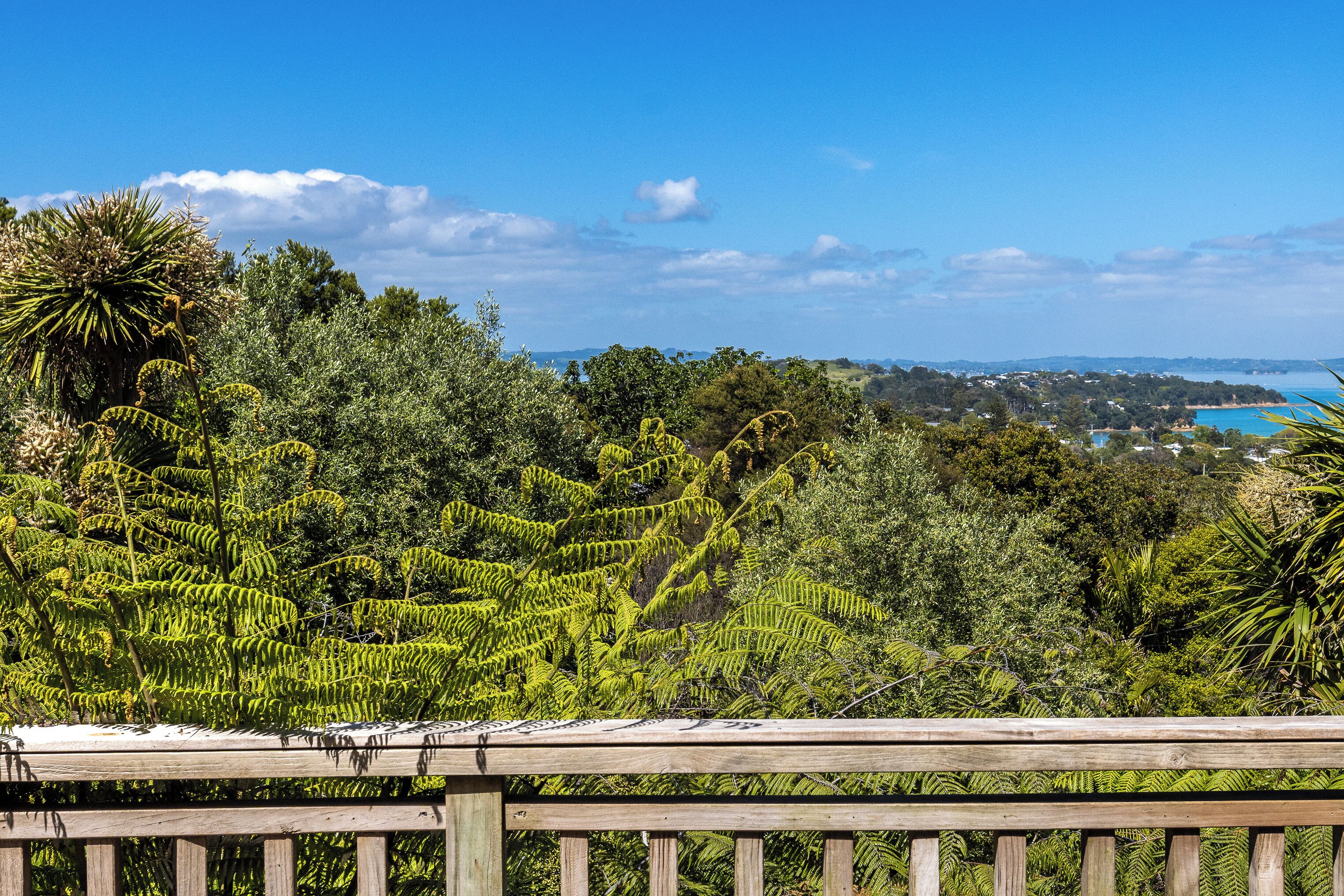 Un lussureggiante giardino con vegetazione fitta e una recinzione in legno.