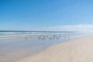 Tæt på stranden