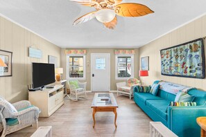 TV, DVD player, video library