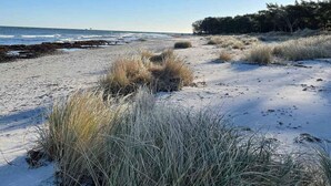 En sandstrand med högt gräs och en klar himmel.