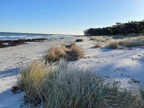 Ferienhaus | Aussenbereich
