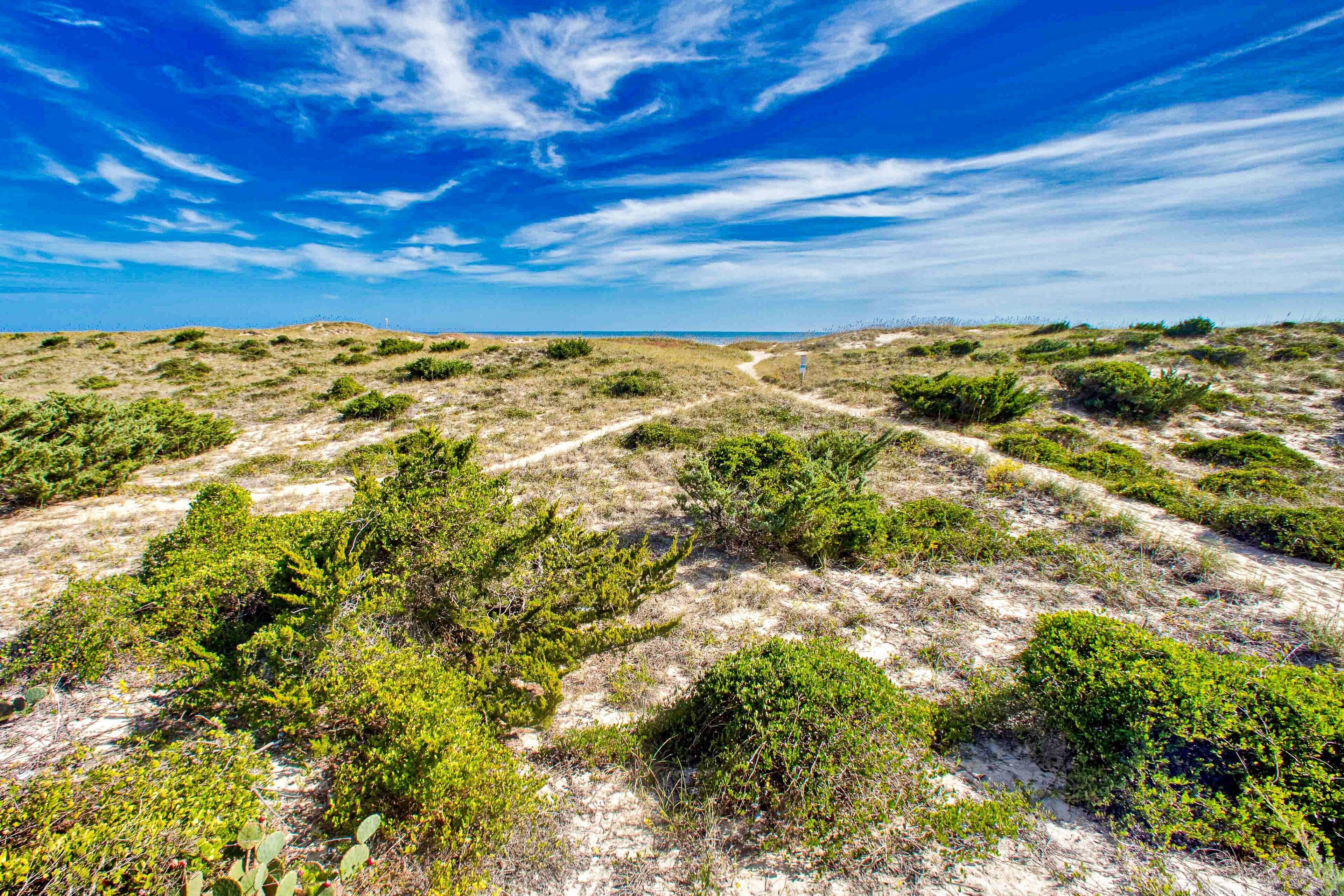 Un paysage naturel caractérisé par un ciel dégagé et une végétation clairsemée.