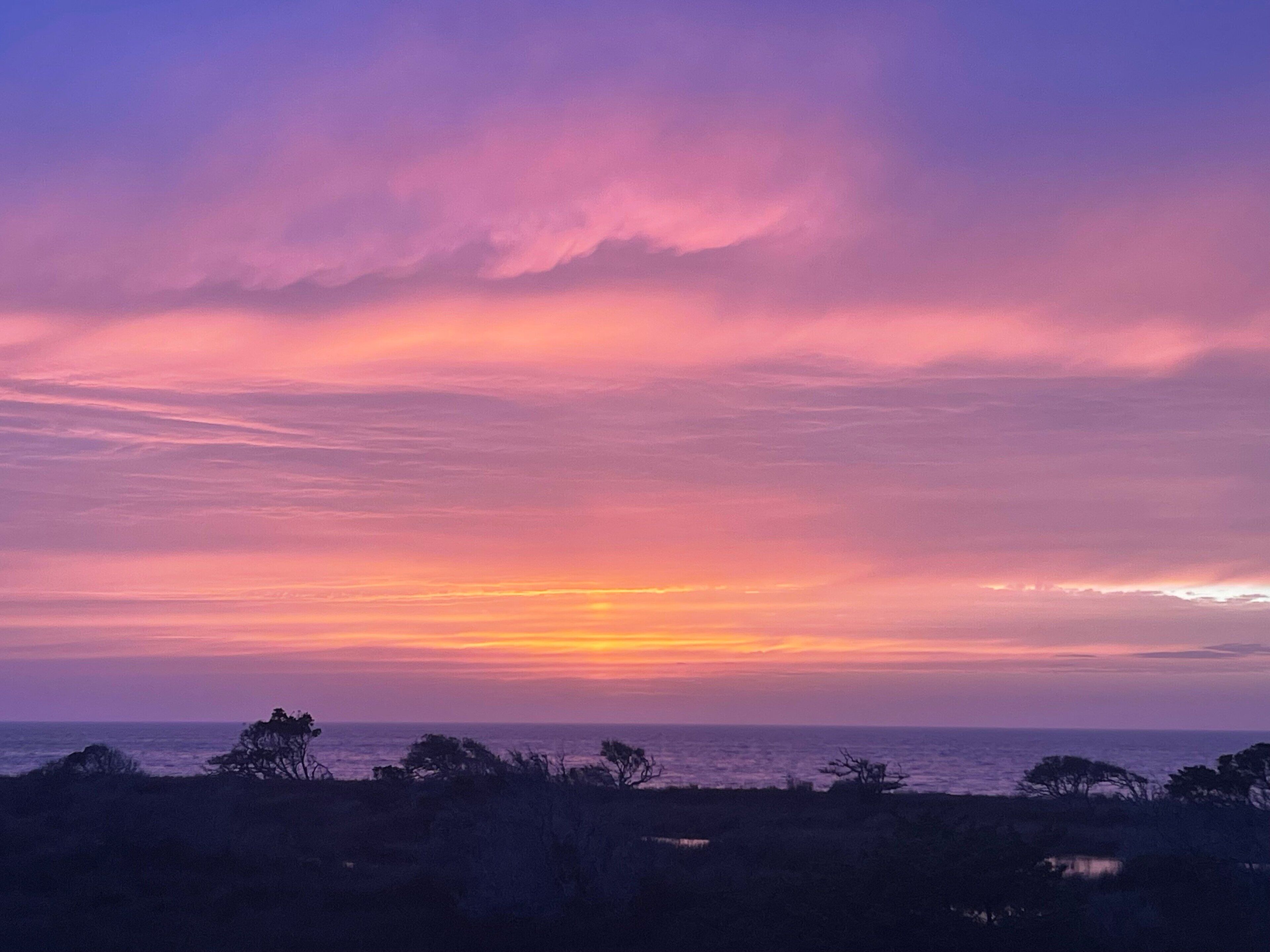A sunset over a coastal landscape with silhouettes of trees and shrubs.