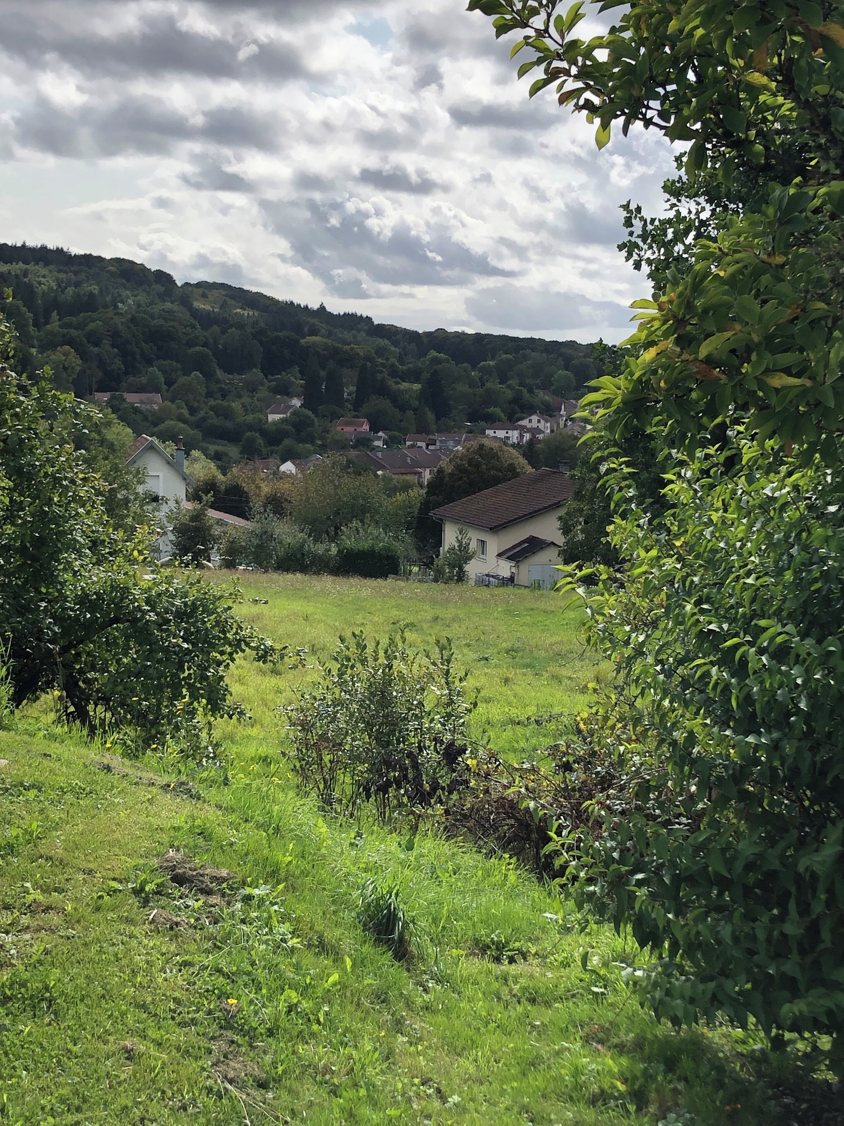 Paisagem rural com casas, vegetação e céu nublado.