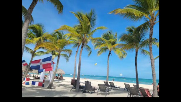 Une plage avec des palmiers, des chaises longues et un drapeau.