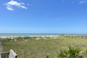 Playa en los alrededores 