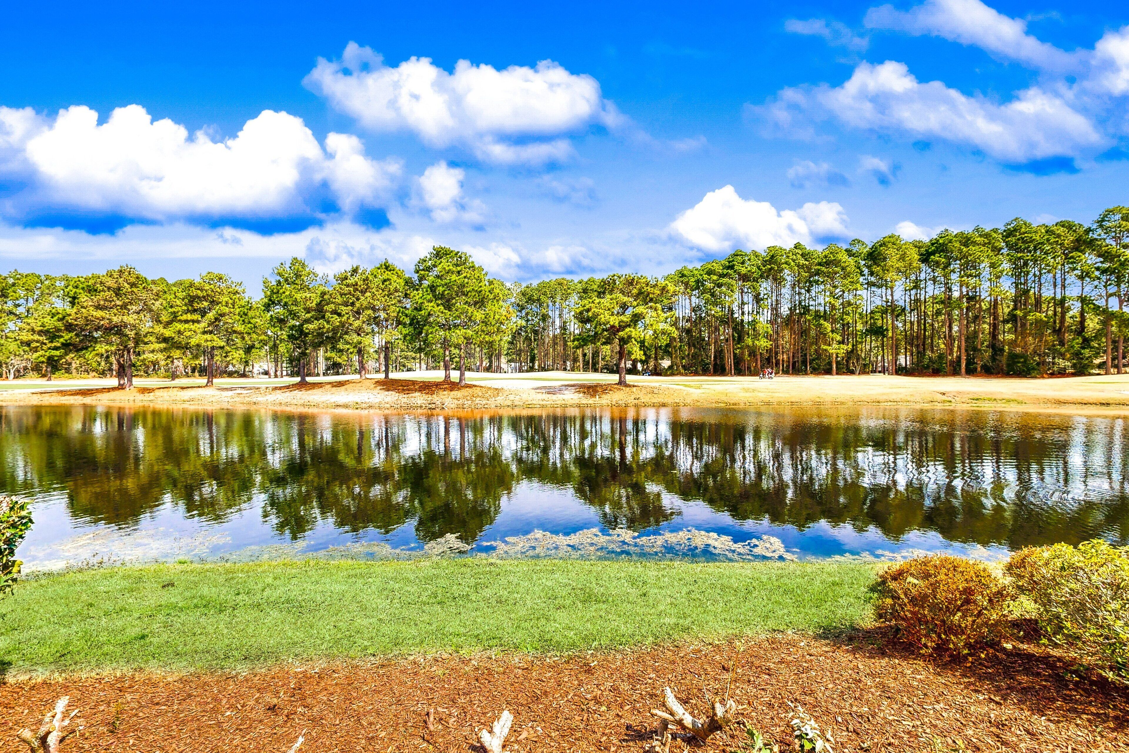 Un paysage paisible avec un étang, de l’herbe verte et une rangée d’arbres sous un ciel bleu dégagé.