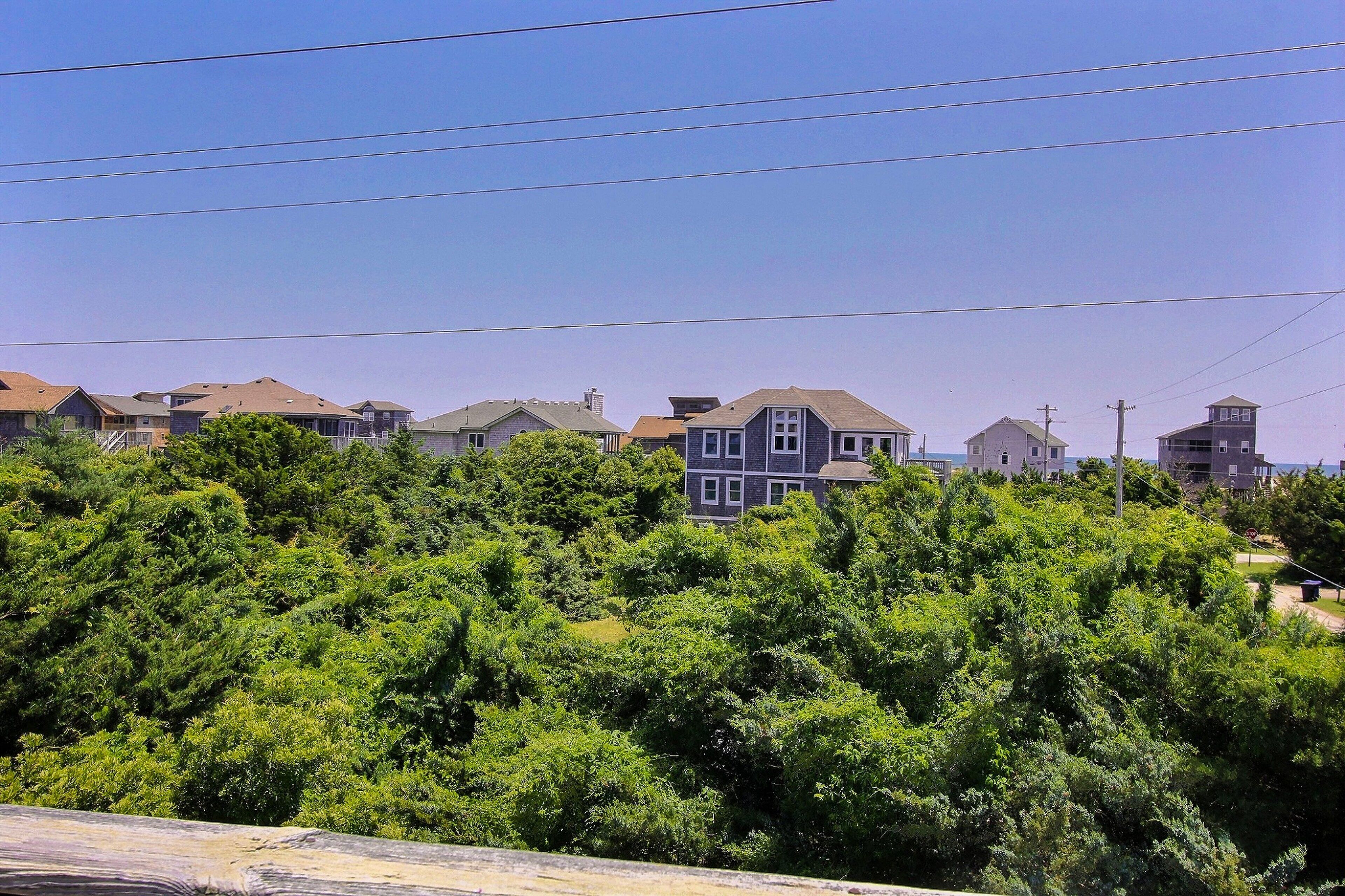 A residential area with houses and dense greenery.
