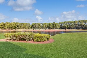 Property grounds - Beautiful dog-friendly coastal home close to beach, AC, and shared pool. (Sunset Beach)