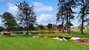 Ein gepflegter Golfplatz mit Teich, umgeben von hohen Kiefern und blauem Himmel.