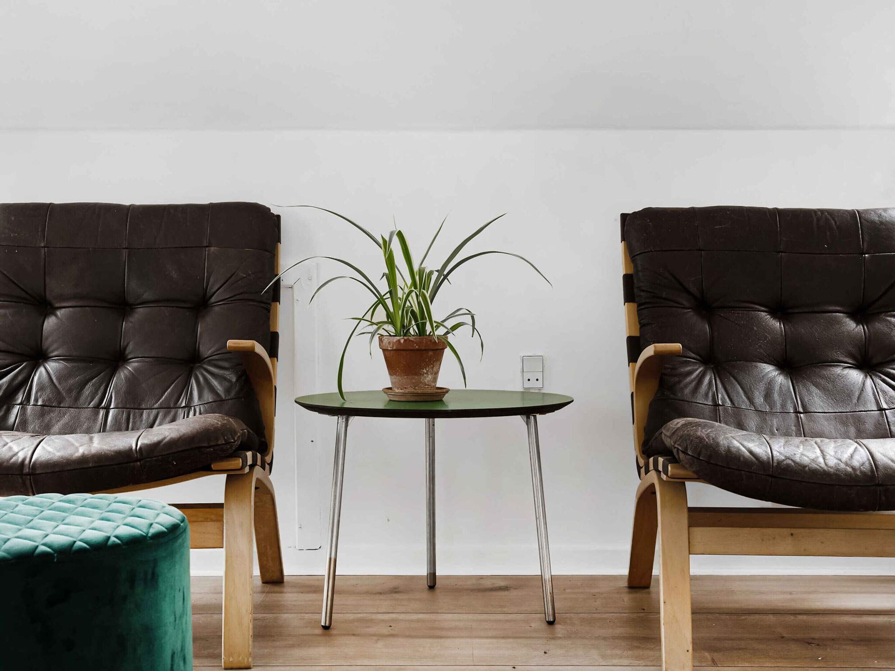 Two leather armchairs, a small round table with a potted plant, and a green ottoman in a room with wooden flooring and white walls.