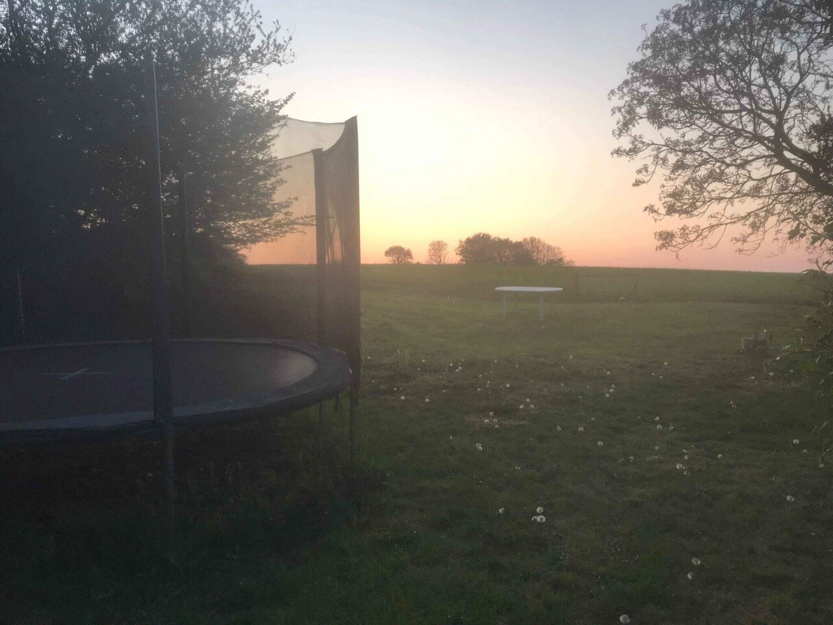 Un trampolín en un campo cubierto de césped, con un árbol y una mesa blanca al fondo.