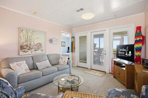 TV, DVD player, video library, stereo