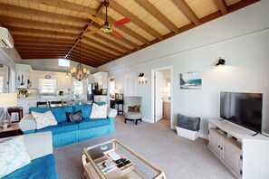 TV, DVD player, video library