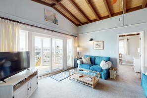 TV, DVD player, video library