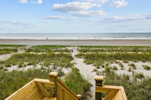 On the beach